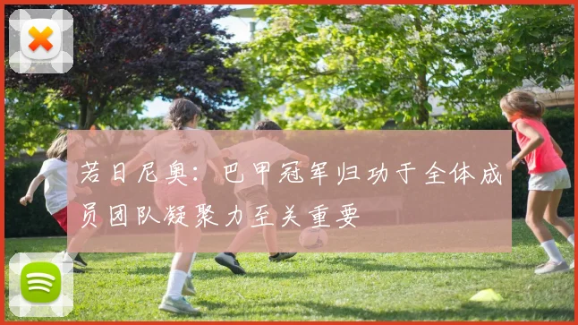 若日尼奥：巴甲冠军归功于全体成员团队凝聚力至关重要