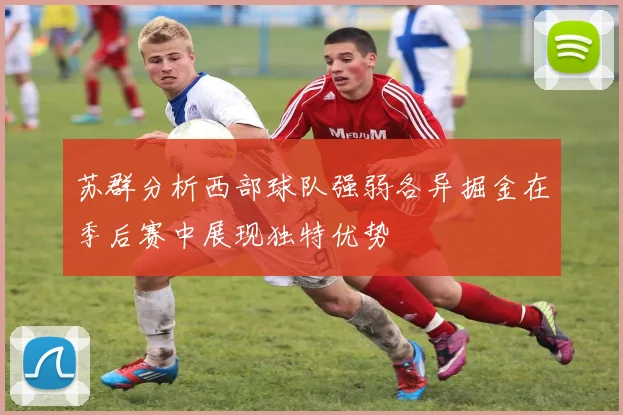 苏群分析西部球队强弱各异掘金在季后赛中展现独特优势