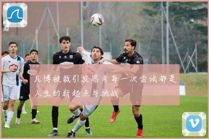 凡博被裁引发思考每一次尝试都是人生的新起点与挑战
